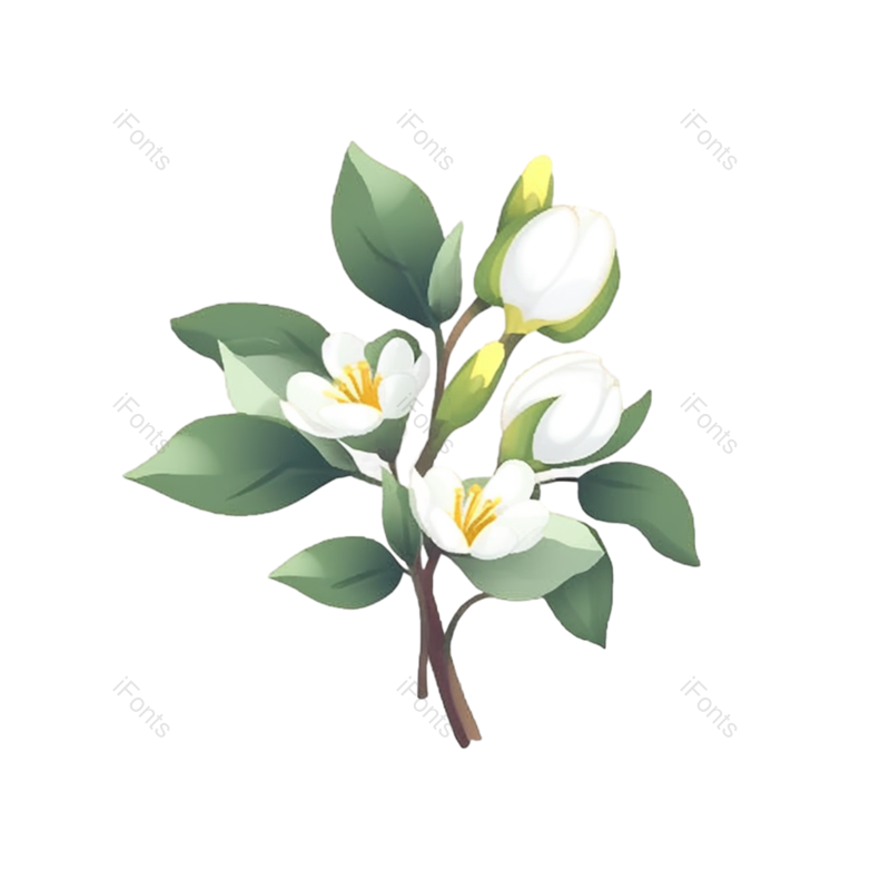 白色背景图片,白色的花元素,PNG,免抠素材